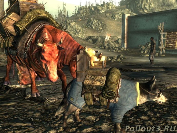 Dogmeat+